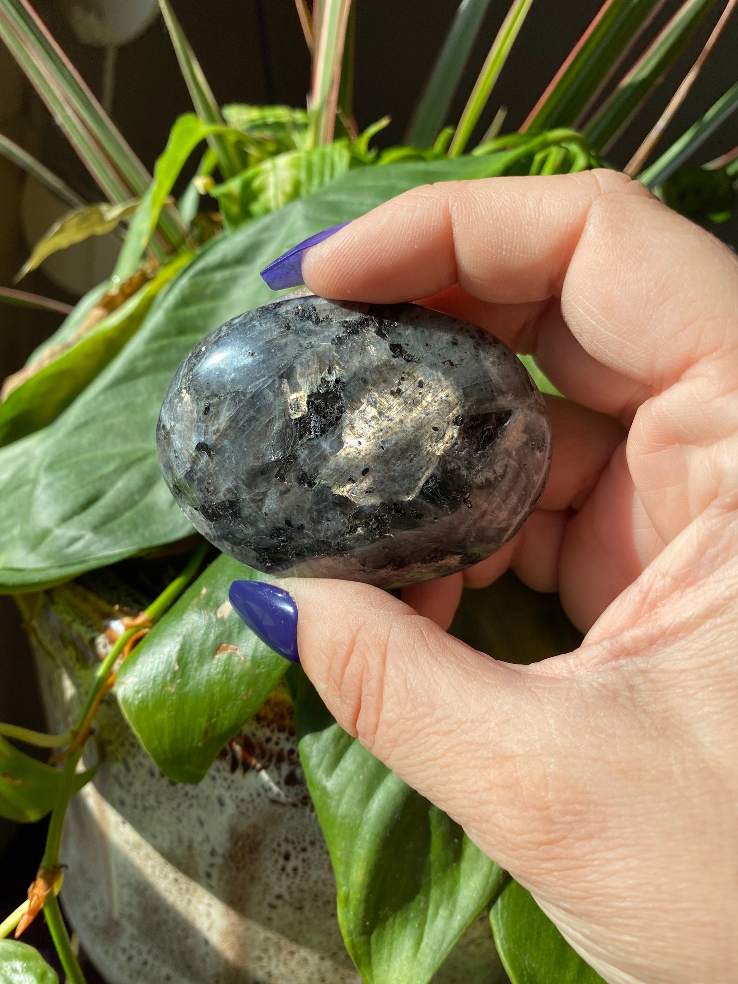 Super Flashy Larvikite Palmstone Intuitively chosen | Black Feldspar | Black Labradorite Palm
