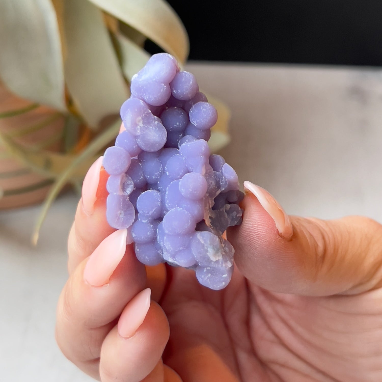 Sparkly Grape Agate Cluster with Druzy | Purple Botryoidal Chalcedony Crystal Specimen