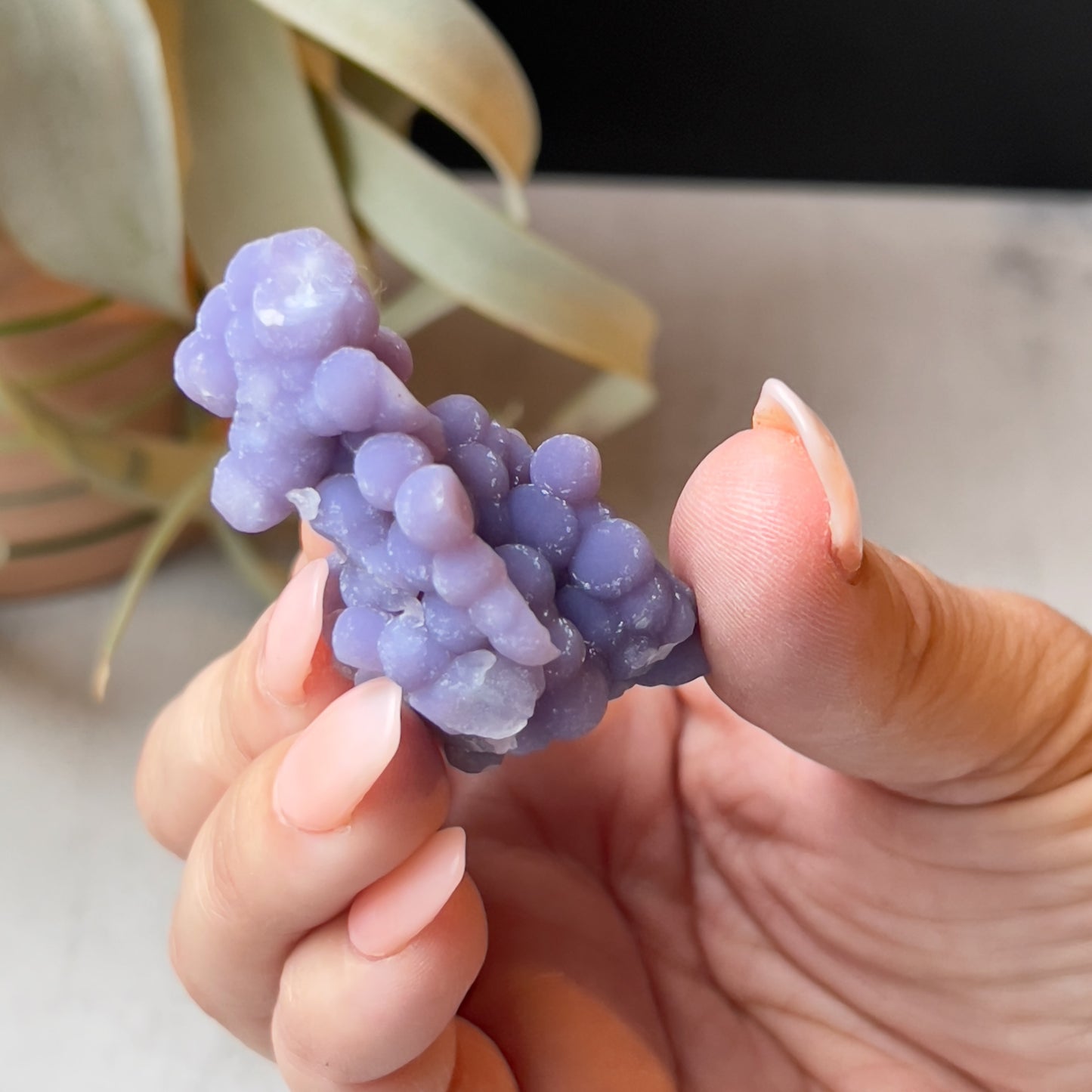 Sparkly Grape Agate Cluster with Druzy | Purple Botryoidal Chalcedony Crystal Specimen